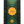 Dark Mint (Limited Release)