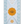 Orange and Vanilla